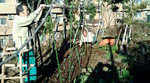 20100105150211.jpg