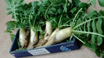 20100113131928.jpg